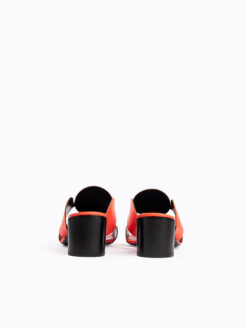 XC03CORAL-3